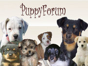 http://puppy.forum2go.nl