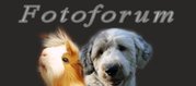 http://foto/forum2go.nl