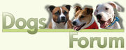 http://dogs.multiforum.nl
