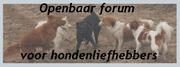 http://wandelenmethondenliefhebbers.yourbb.nl/