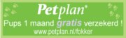 http://www.petplan.nl/fokker