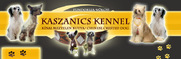 http://www.kaszanicskennel.com