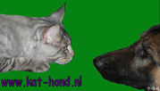 http://www.kat-hond.nl