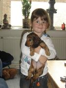 Honden Page profiel van donna