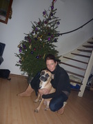 honden foto van Samantha Boeffie( Renacansce Bulldog)