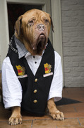 honden foto van AUREA  EN  MARTIN