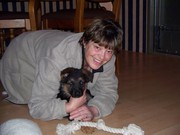 honden foto van Joke