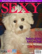 honden foto van LADY!!