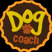 honden foto van D-coach