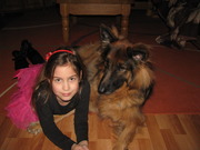 honden foto van Jan van Toor