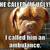honden foto van angela*rooie*moob*chico