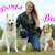 honden foto van Corien