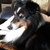 honden foto van Kath