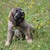 honden foto van Ewa en Marc