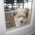 honden foto van niels