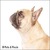 honden foto van Joy & Noa