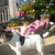 honden foto van Annalies