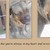 honden foto van Lin en Tos