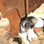 honden foto van Lizzy (Boerenfox) 