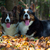 honden foto van Nathalie & Clooney