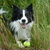honden foto van Erika & Tosca