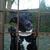 honden foto van Heavenly en de honden Marvey en Ginger