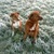 honden foto van Anja en Naika