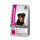 Eukanuba rottweiler