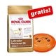 Grote zak royal canin breed + trixie dog activity disc   french bulldog