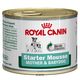 Royal Canin Starter Mousse
