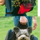Karlie smart bag rugzak Karlie smart bag rugzak