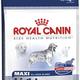 Royal canin maxi light