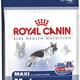 Royal canin maxi mature Royal canin maxi mature