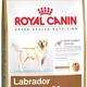 Royal canin labrador retriever adult Royal canin labrador retriever adult