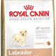 Royal canin labrador retriever junior