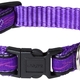 Hondenwinkel productvergelkijking Rogz for dogs jellybean halsband