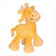 Dinkey en donkey