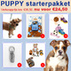 Puppy starterset teddy