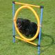 Agility Fun & Sport springring Agility Fun & Sport springring