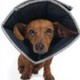 Comfy cone