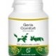 Geria comfort hond Geria comfort hond