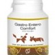 Gastro entero comfort kleine dieren Gastro entero comfort kleine dieren