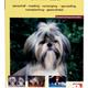 Over dieren de shih tzu Over dieren de shih tzu
