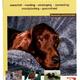Over dieren de setters