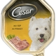 Cesar alu kip Cesar alu kip
