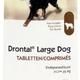Bayer drontal grote hond Bayer drontal grote hond