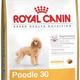 Royal canin poodle Royal canin poodle