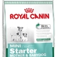 Royal canin mini starter mother & babydog