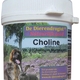 Dierendrogist cholinetabletten
