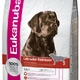 Eukanuba dog daily care sensitive skin